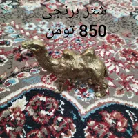 دکوری جات برنجی سنگین وزن|مجسمه، تندیس، ماکت|گلبهار, شهر جدید گلبهار|دیوار