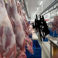 تعدادی نیرو قصاب ماهر ونیمه نیازمندیم