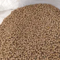 نخود دیم فلافل