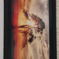 تابلو نو با طرح شیک