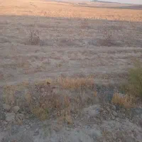 زمین|فروش زمین و ملک کلنگی|رضویه, |دیوار