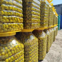 فروش زیتون گریل  باربیکیو  زیتون سوپر ویژه|عمده‌فروشی|اصفهان, درب کوشک|دیوار