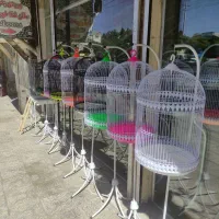 قفس و ملزومات پرندگان