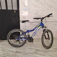 دوچرخه گالانت اصل دنده ای فنر جلو ۲۴ تنه بلند