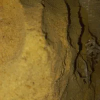 سبوس نرم برنج