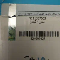 کد یک رشت...