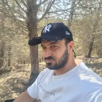 مدارک گمشده به نام حامد الماسی