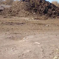 کود گاوی پاک بدون ناخالصی|خدمات باغبانی و درختکاری|بم, |دیوار