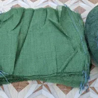 تور محافظ خرما