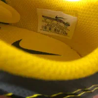 نایک تمپو ایکس اورجینال اکبند|کیف، کفش، کمربند|فردیس, منظریه|دیوار