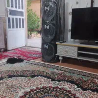 کاور و روپوش سیستم وباند|صوتی و تصویری|شیراز, تندگویان|دیوار