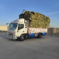 بیده تمیز