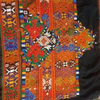 زیاستین تاج عروس