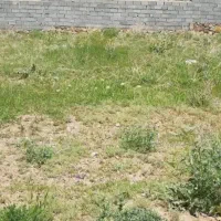 فروش-زمین-مسکونی-جاده-چمخاله