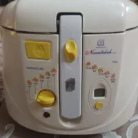 سرخکن خانگی نو