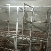 قفس