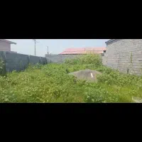 زمین با جواز ساخت ۲۰۰ متر دونبش|فروش زمین و ملک کلنگی|رشت, اسماعیل آباد|دیوار