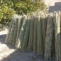 چیت|روفرشی|سیوان, |دیوار