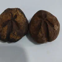 سنگ کلکسیونی