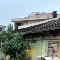 همخونه