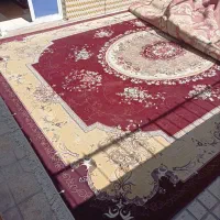 فرش کار کرده|فرش|شیراز, مسلم|دیوار