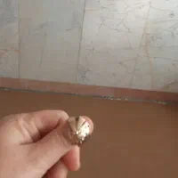 انگشتر طلاروس|بدلیجات|جوانرود, |دیوار