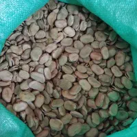 باقلا خشک سه بند سوری|خوردنی و آشامیدنی|بهشهر, |دیوار