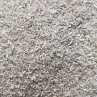 نیم دانه فجر