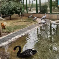 اصفهان