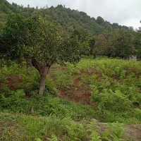 یک عدد ساعت مردانه پیدا شده