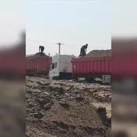 تریلی کود گاوی نیروی طلایی انفجار برداشت پسته|خدمات باغبانی و درختکاری|زرند, |دیوار