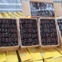 خرما درجه ۱