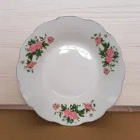 یک دست بشقاب شیرینی خوری گلسرخی
