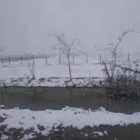 زمین-برجاده-گنبد-مینودشت