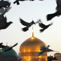 راهنمایی در مورد خرید بلیط قطار مشهد