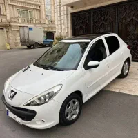 207 پاناروما400