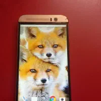 گوشی اچ تی سی