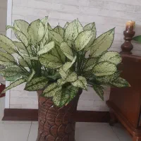 گلدون یا پایه گلدون جنس سفال