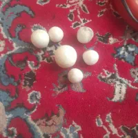 سنگ قیمتی وطلا|جواهرات|بیرجند, |دیوار