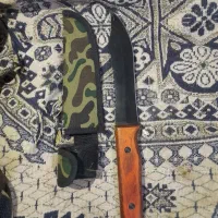 کبوتر معاوضه|کلکسیون و سرگرمی|گنبد کاووس, |دیوار