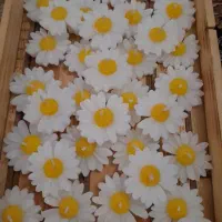 شمع بابونه رو آبی|صنایع دستی و سایر لوازم تزئینی|تهران, خانی آباد نو شمالی|دیوار