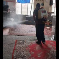 سمپاشی حشرات ۱۰۰ تضمینی کل حشرات وغیره شرکت تندیس