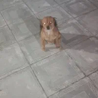 فروش