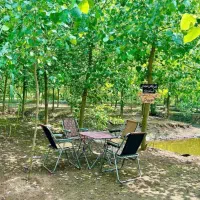 مدرن، تک، ناب|فروش خانه و ویلا|مبارکه, |دیوار