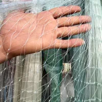 تور چتری|ماهیگیری|زابل, |دیوار