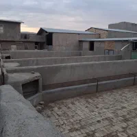 دامداری-دامشهر