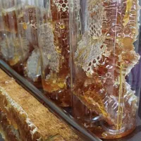 عسل طبیعی بهاره به شرط مرجوعی|خوردنی و آشامیدنی|قیدار, |دیوار