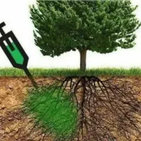 خدمات کشاورزی و باغبانی وگیاهان خانگی|خدمات باغبانی و درختکاری|کاشان, مدرس|دیوار