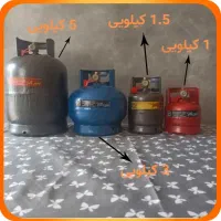 پیک نیک ارسال تا ۱شب