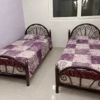 دوعدد تخت یکنفره همراه با تشک رویال در حد نو